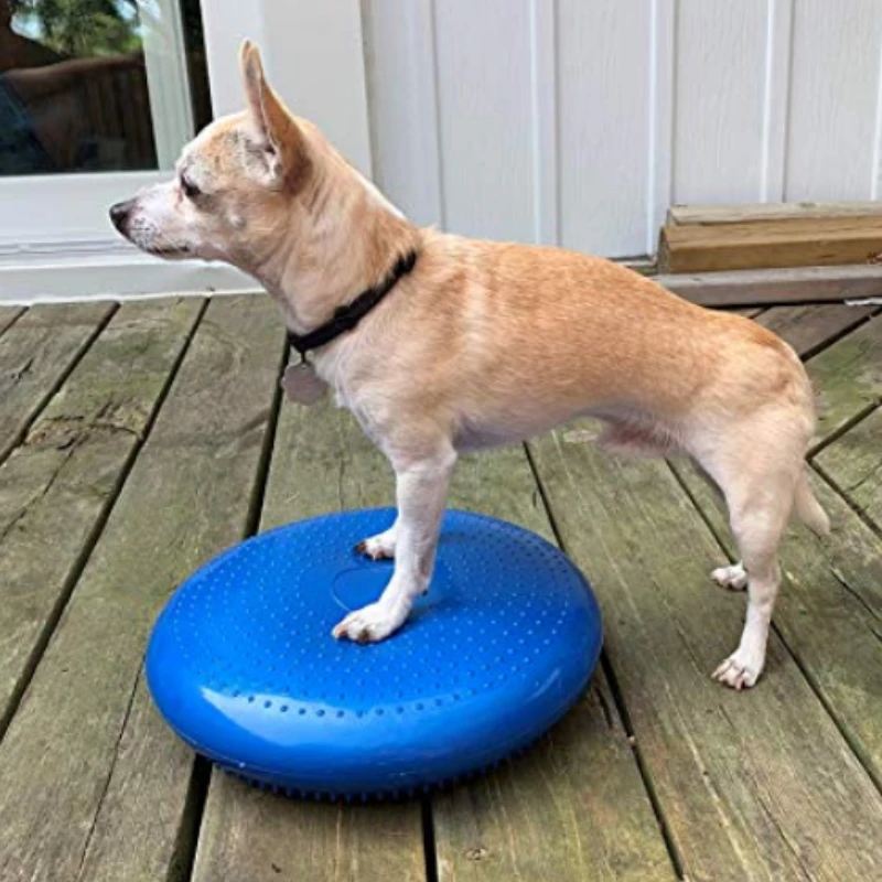 Flying Disc Dog Training Toy - Тренировочное средство для собак, летающая тарелка
