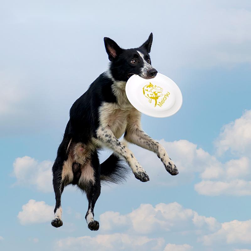 Flying Disc Dog Training Toy - OUZEY, защита от укусов для домашних
