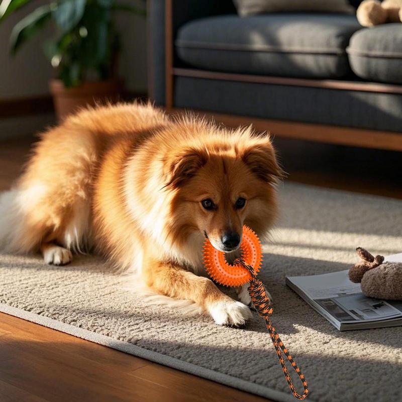 Dog Rope Toy Aggressive Chewers - Писклявые игрушки для собак Колючее кольцо