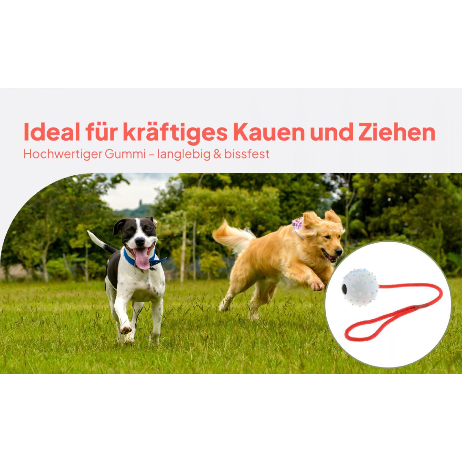 Rubber Treat Dispensing Dog Toy - Игрушка для дрессировки животных: мягкий резиновый