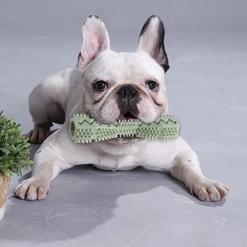Зубная щетка для собак, прочна – обзор и цена Indestructible Dog Chew Toy