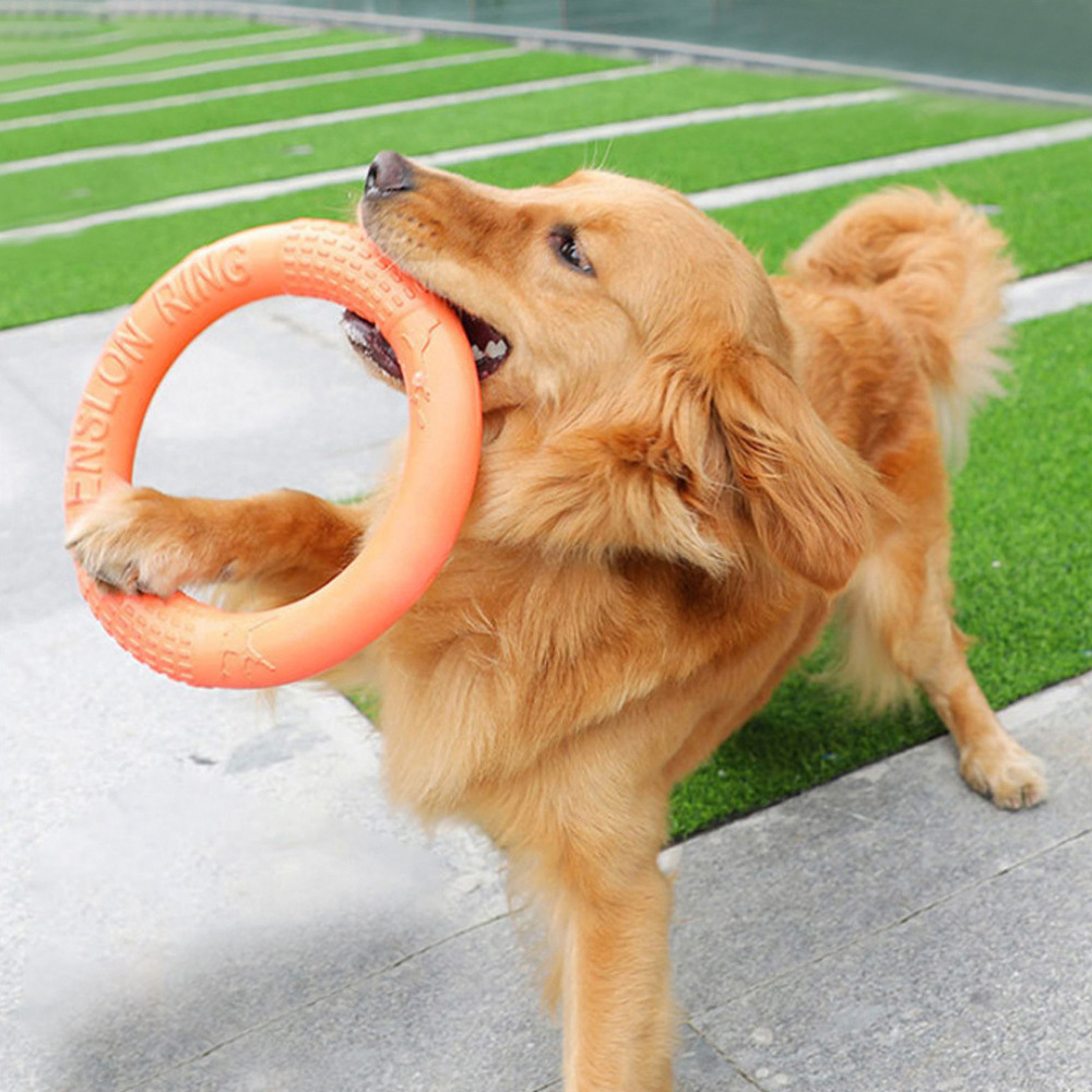 1 шт., рычаг-экшн для обучения – обзор и цена Suction Cup Dog Tug Toy