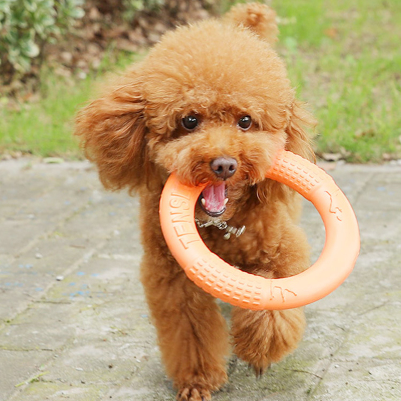 1 шт., рычаг-экшн для обучения – обзор и цена Suction Cup Dog Tug Toy