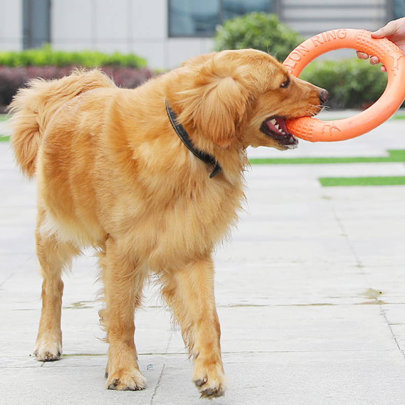 1 шт., рычаг-экшн для обучения – обзор и цена Suction Cup Dog Tug Toy
