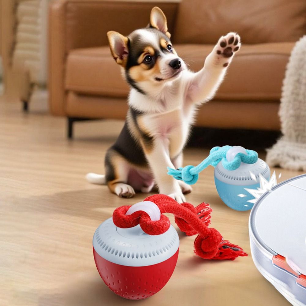 Ударопрочный умный мяч-игрушка – обзор и цена Automatic Moving Dog Ball