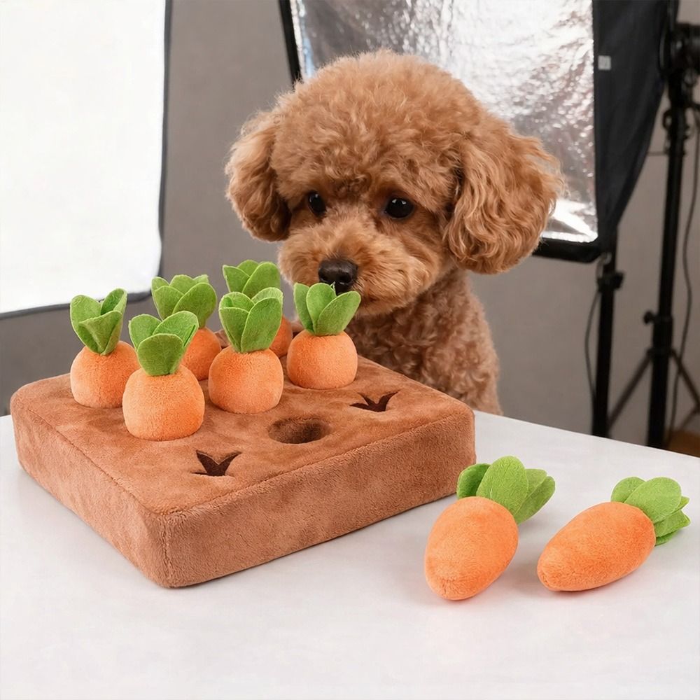 Коврик-игрушка для собак в вид – обзор и цена Snuffle Mat For Dogs