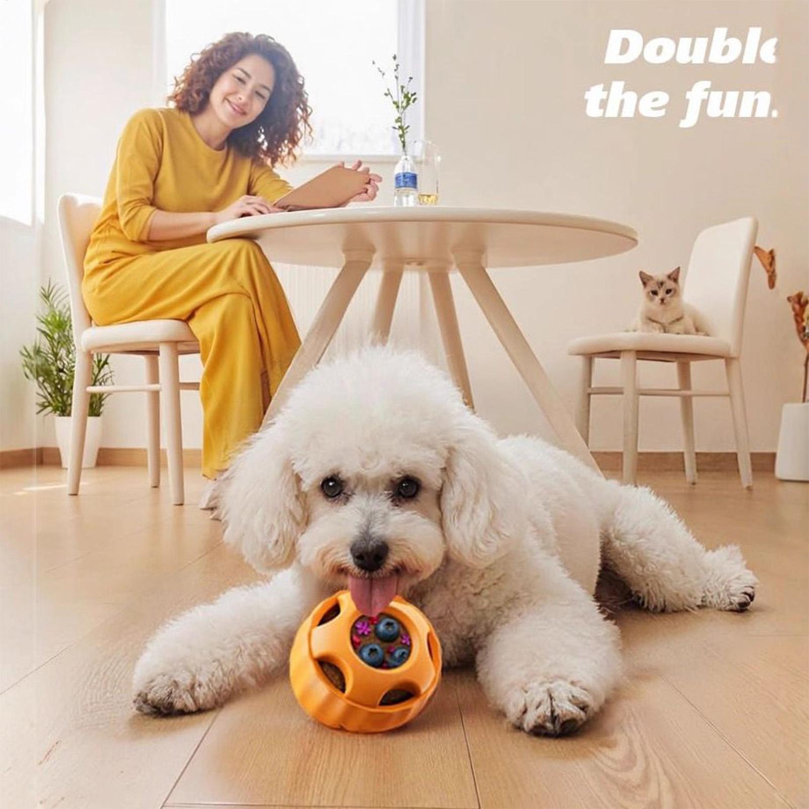 Игрушки для собак с дозатором  – обзор и цена Dog Puzzle Feeder Toy