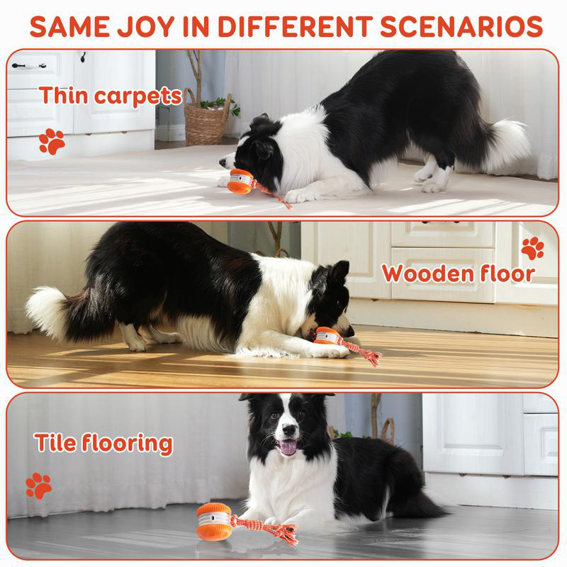 Умный электрический интерактив – обзор и цена Automatic Moving Dog Ball