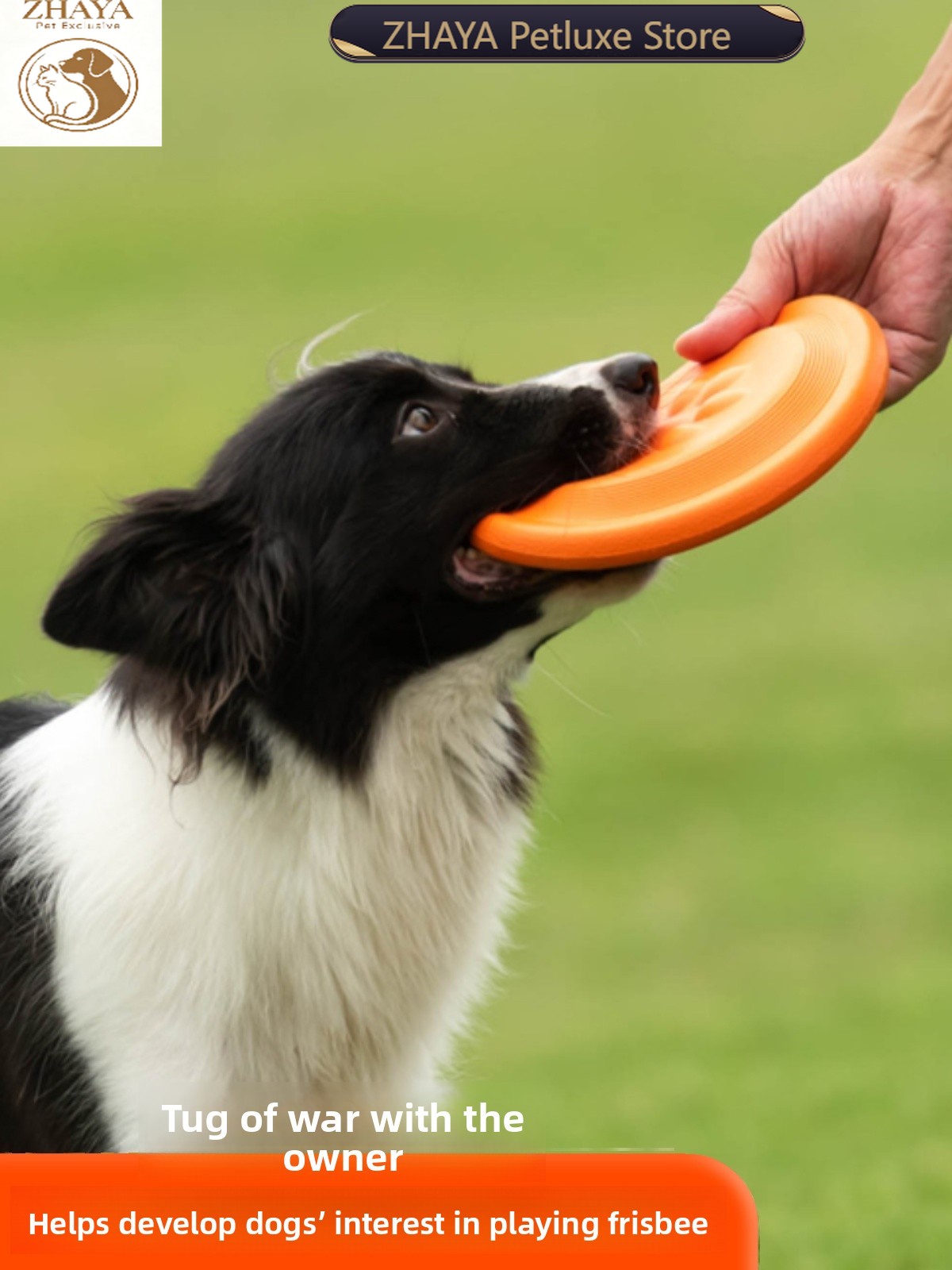 Летающий диск для собак ZHAYA: – обзор и цена Flying Disc Dog Training Toy