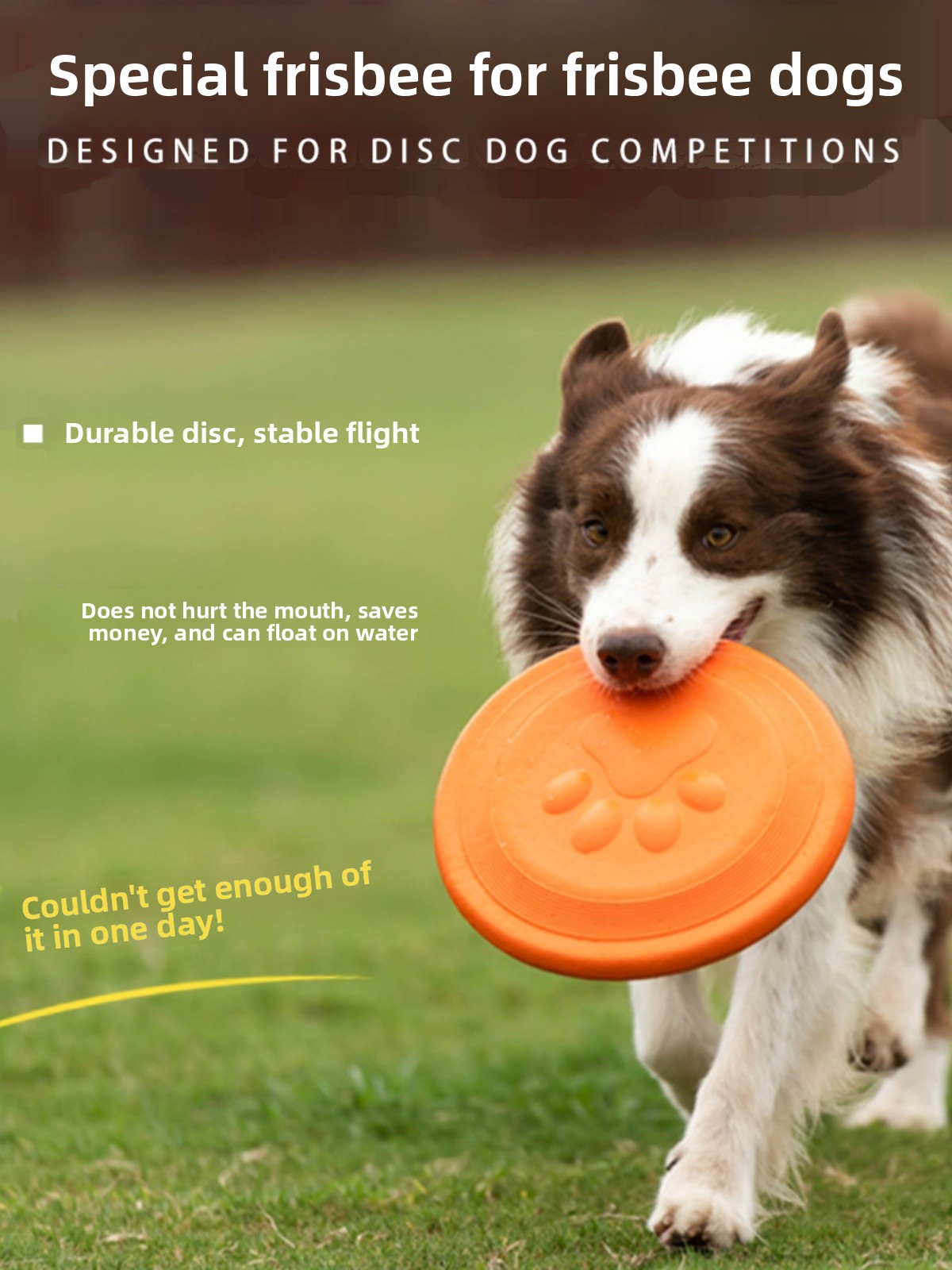 Летающий диск для собак ZHAYA: – обзор и цена Flying Disc Dog Training Toy