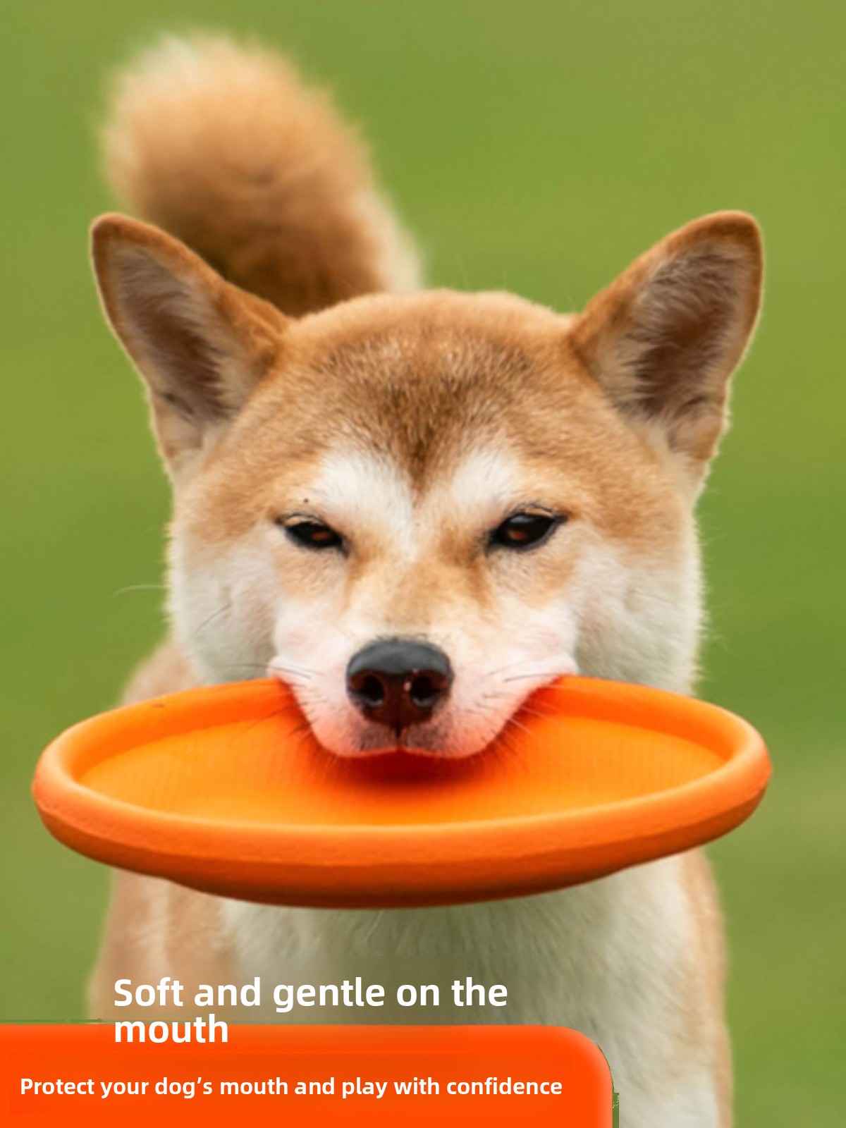 Летающий диск для собак ZHAYA: – обзор и цена Flying Disc Dog Training Toy