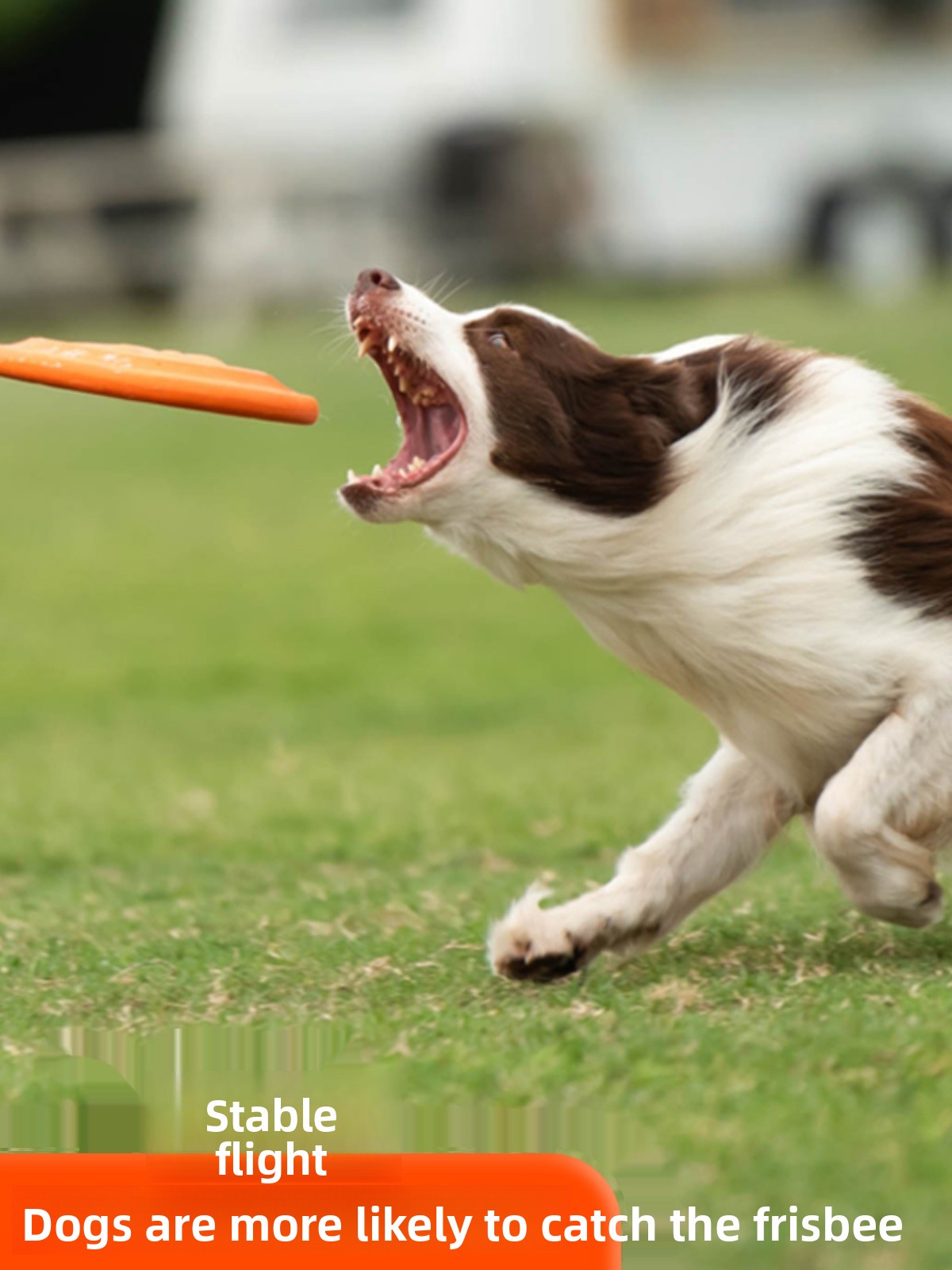 Летающий диск для собак ZHAYA: – обзор и цена Flying Disc Dog Training Toy