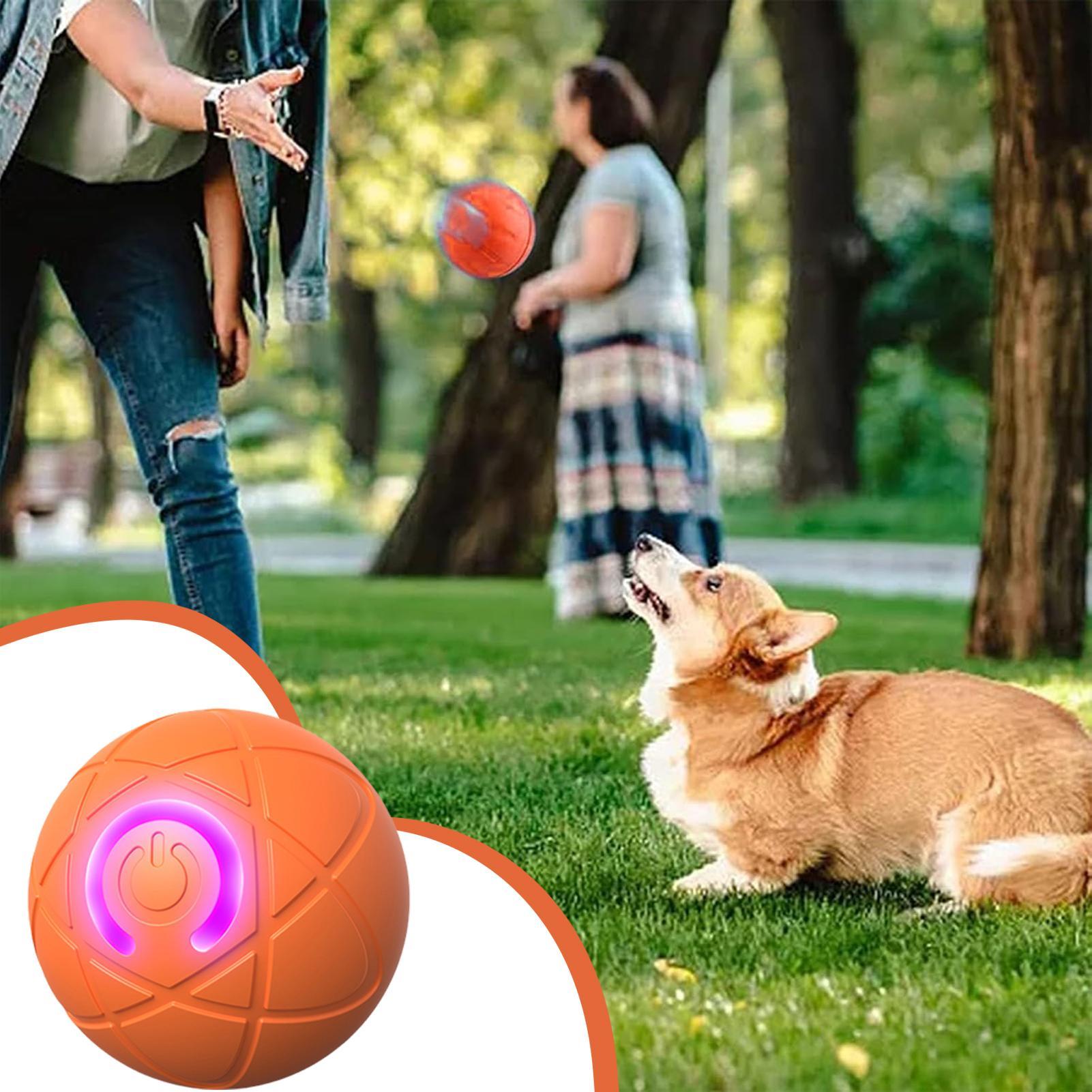 Умные интерактивные игрушки дл – обзор и цена Automatic Moving Dog Ball