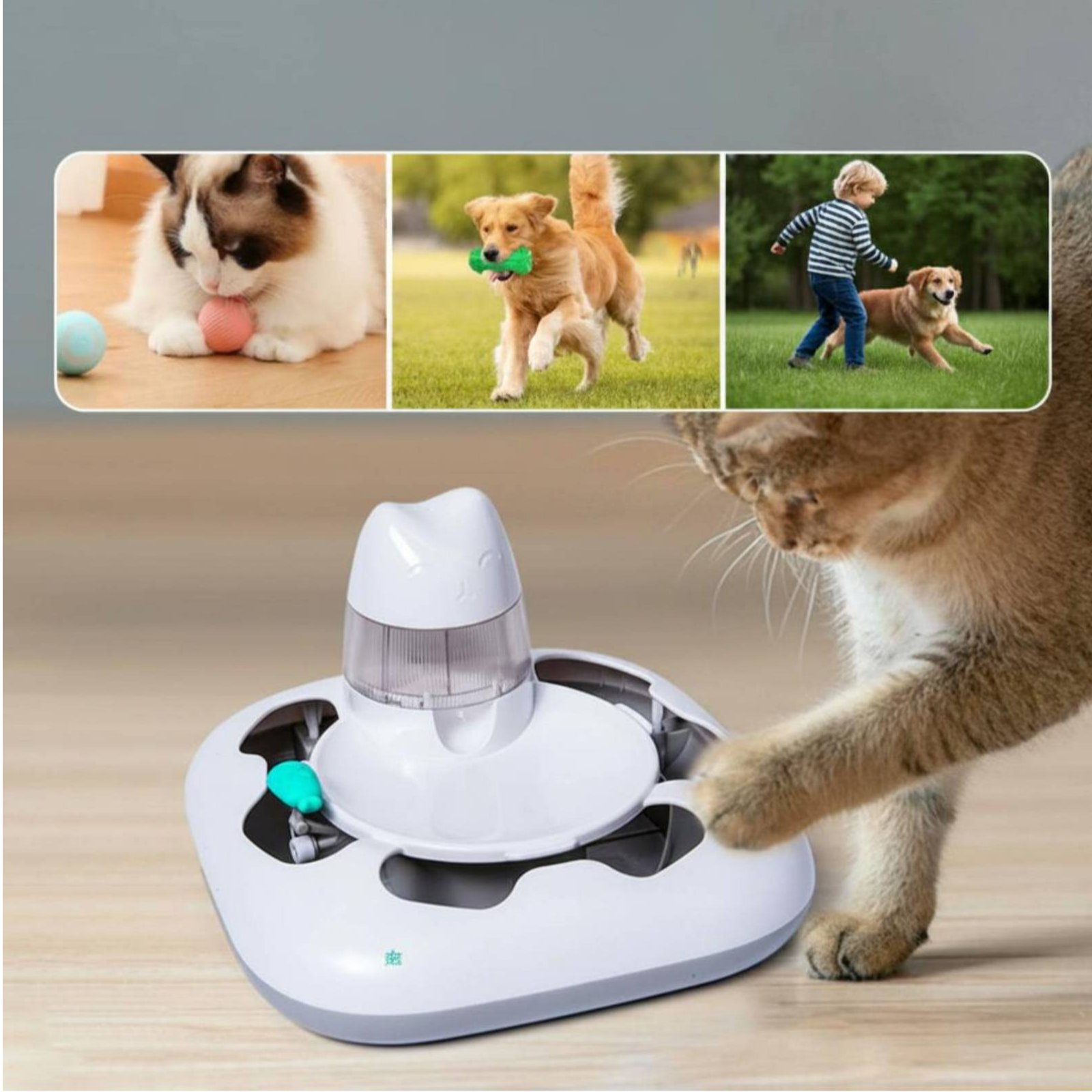 Интерактивная автоматическая и – обзор и цена Cat Toys