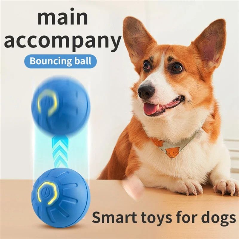 Умный интерактивный мяч для со – обзор и цена Automatic Moving Dog Ball