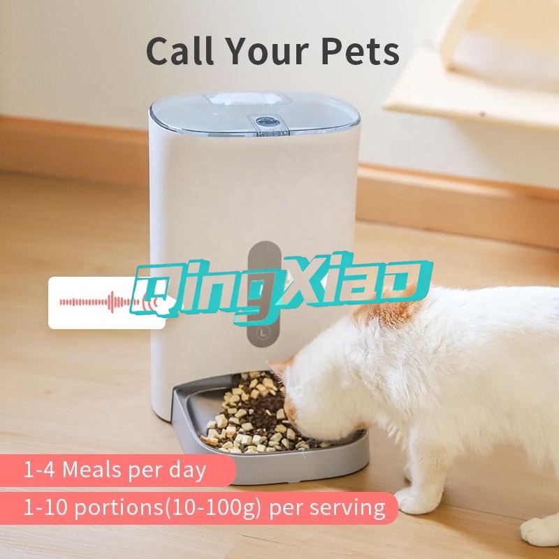 Автоматическая кормушка для до – обзор и цена Pet Feeders