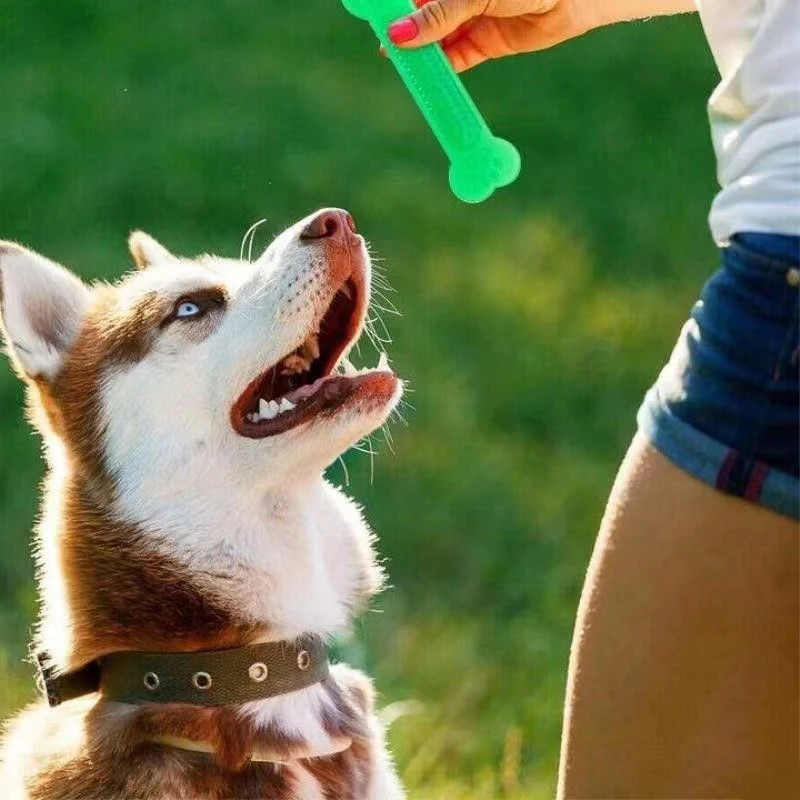 Супер прочная жевательная игру – обзор и цена Teeth Cleaning Dog Chew Bone