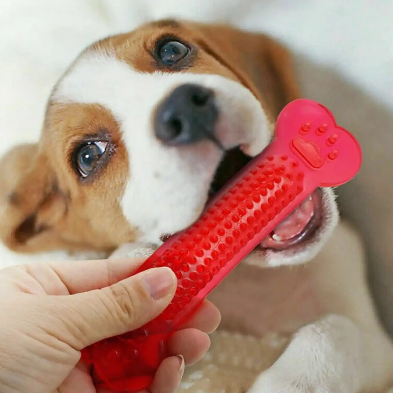 Супер прочная жевательная игру – обзор и цена Teeth Cleaning Dog Chew Bone
