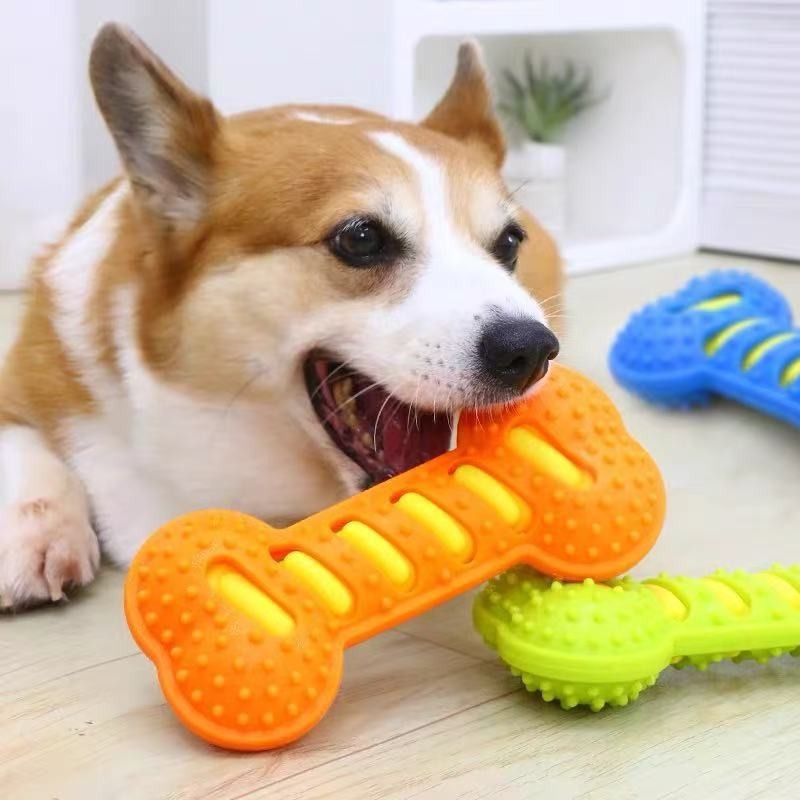 Резиновая игрушка-кость для со – обзор и цена Teeth Cleaning Dog Chew Bone