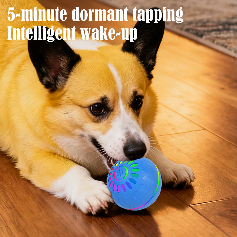 Умный интерактивный мяч-игрушк – обзор и цена Automatic Moving Dog Ball