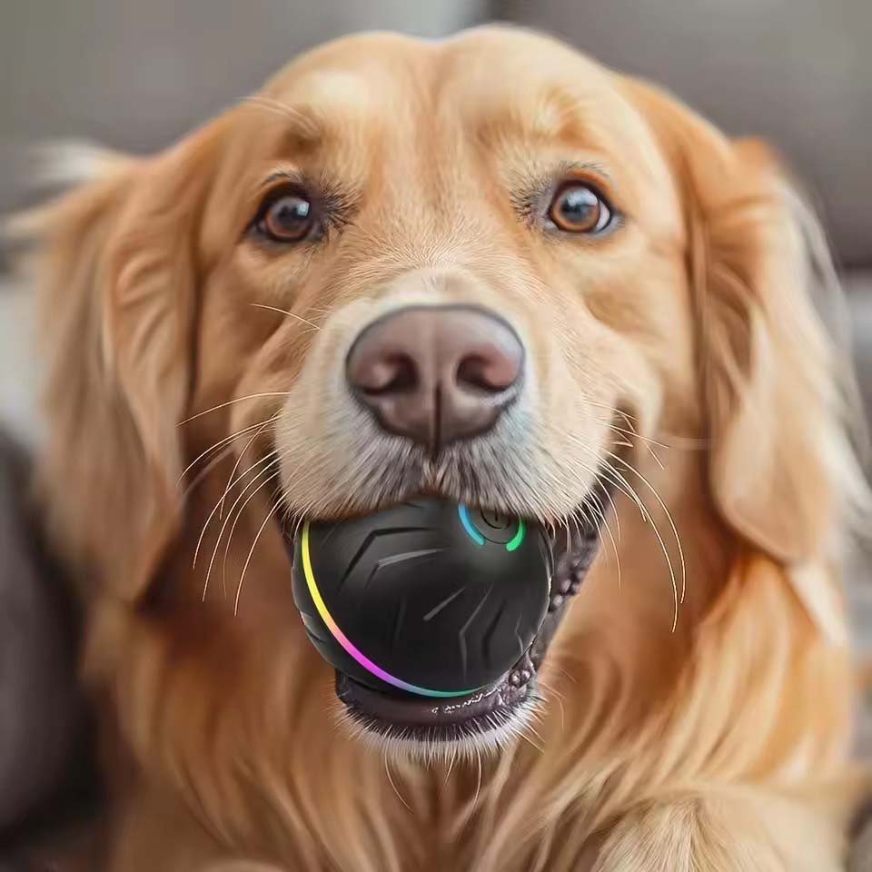 Интерактивные умные игрушки-мя – обзор и цена Automatic Moving Dog Ball