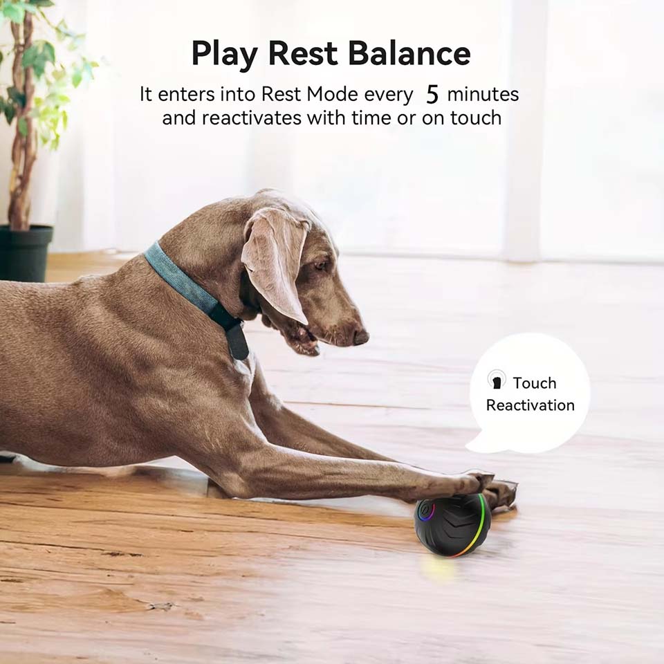 Интерактивные умные игрушки-мя – обзор и цена Automatic Moving Dog Ball