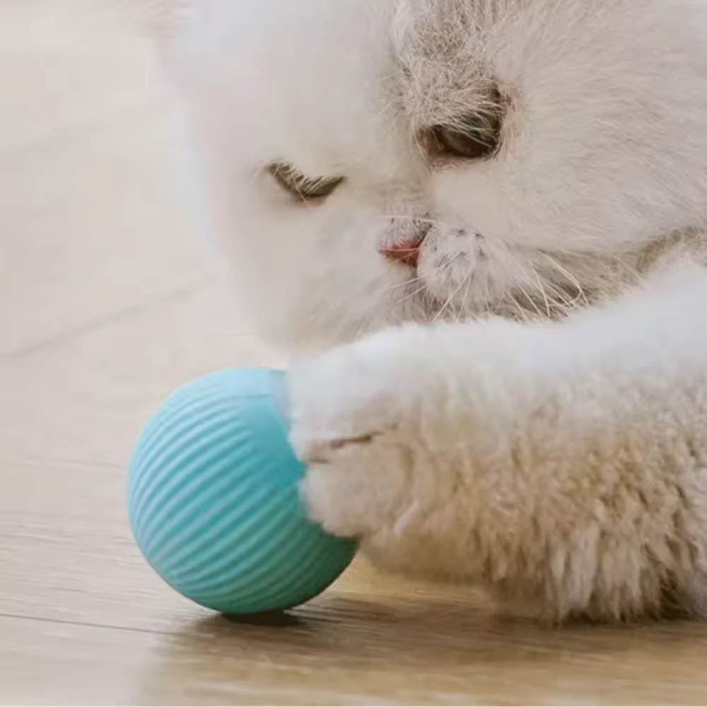 Автоматический движущийся мяч  – обзор и цена Automatic Moving Dog Ball