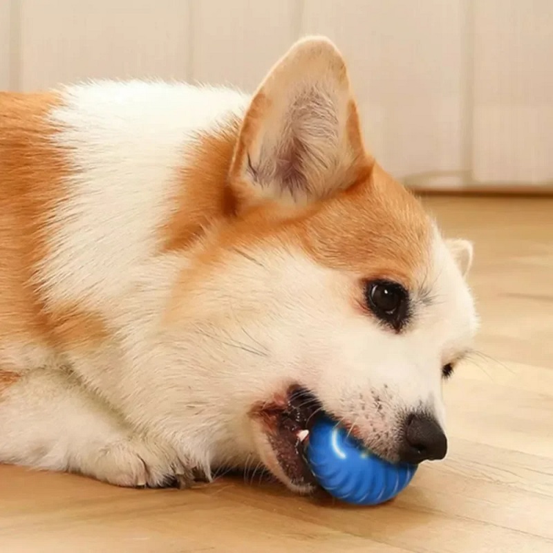 Интерактивный умный мяч-игрушк – обзор и цена Suction Cup Dog Tug Toy