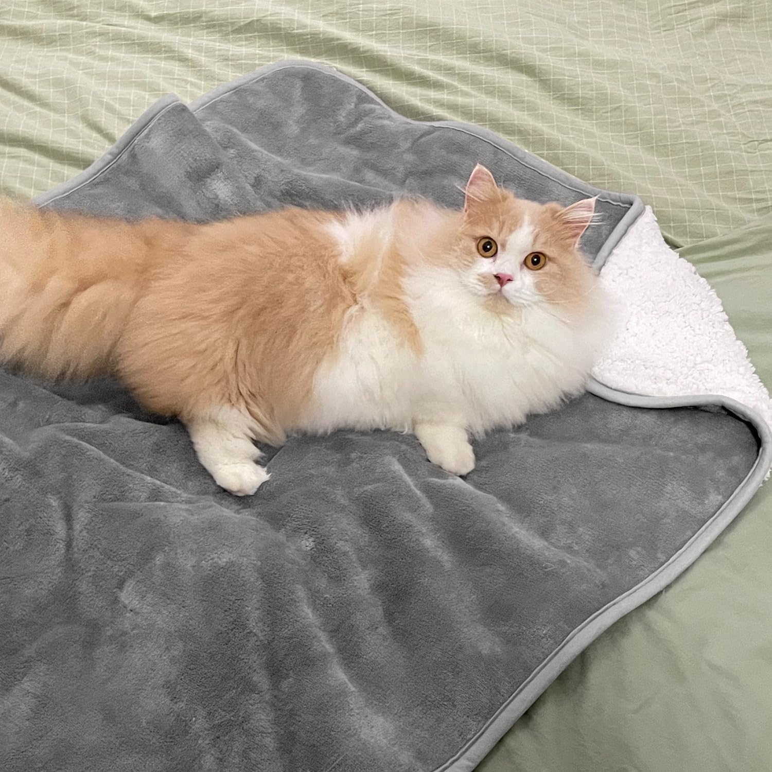 Однотонное одеяло для домашних – обзор и цена Pet Beds