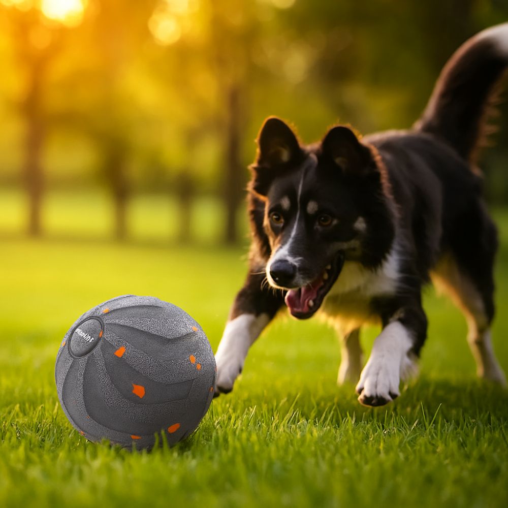 Умная игрушка для собак, устой – обзор и цена Automatic Moving Dog Ball