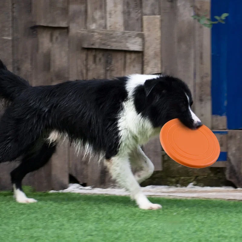 Веселая игрушка для собак и ко – обзор и цена Flying Disc Dog Training Toy