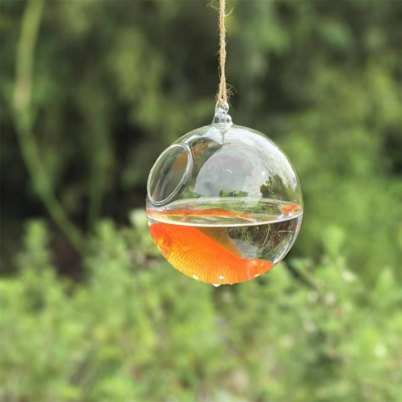 Прозрачный стеклянный террариу – обзор и цена Aquarium