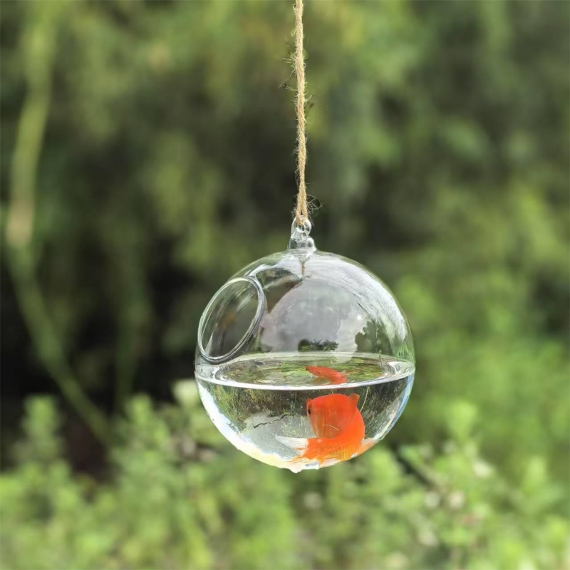 Прозрачный стеклянный террариу – обзор и цена Aquarium