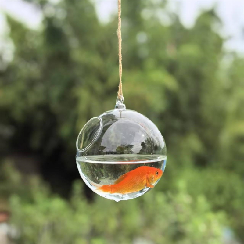Прозрачный стеклянный террариу – обзор и цена Aquarium