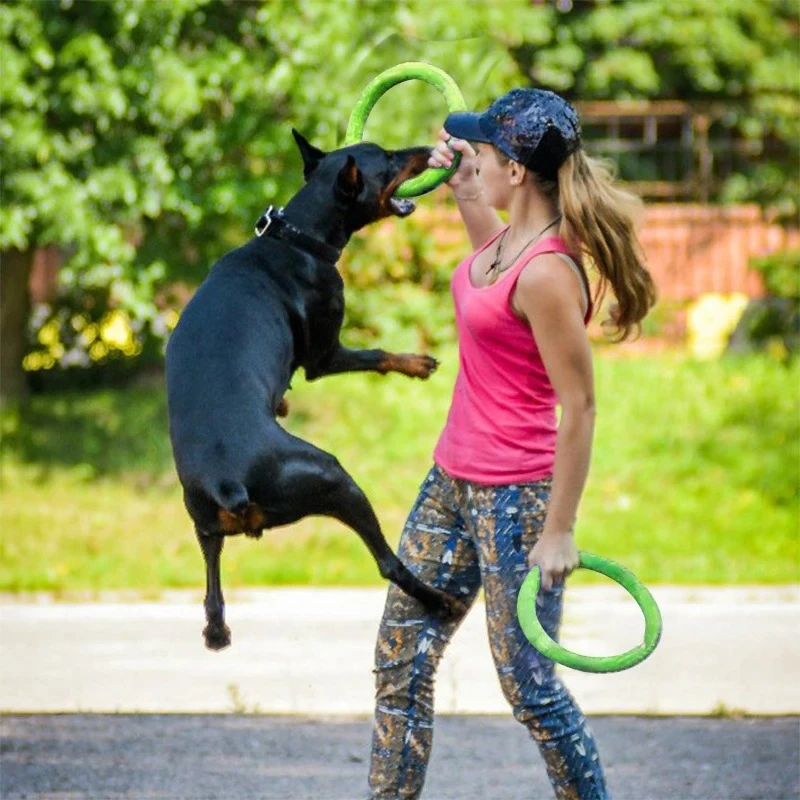 Игрушки для собак, летающие ди – обзор и цена Indestructible Dog Chew Toy