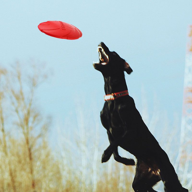 Резиновые летающие диски для с – обзор и цена Flying Disc Dog Training Toy