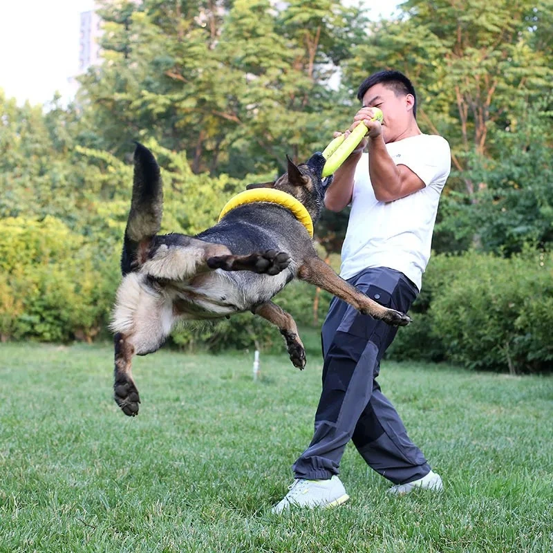 Игрушки для собак: летающие ди – обзор и цена Flying Disc Dog Training Toy