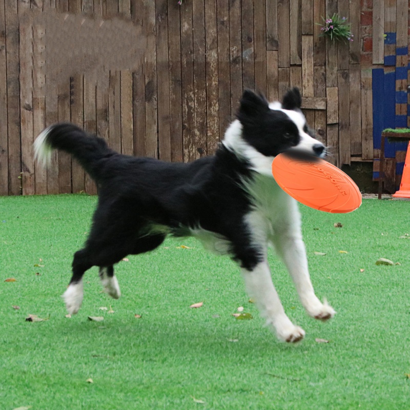 Интерактивная силиконовая лета – обзор и цена Flying Disc Dog Training Toy