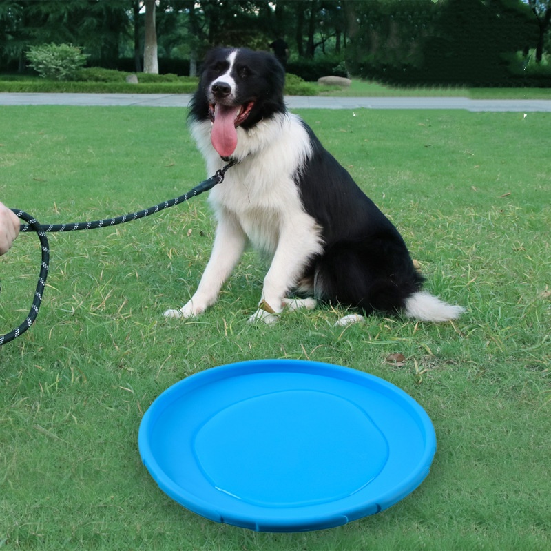 Интерактивная силиконовая лета – обзор и цена Flying Disc Dog Training Toy