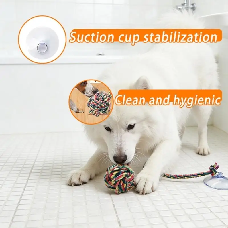 Забавная безопасная жевательна – обзор и цена Suction Cup Dog Tug Toy