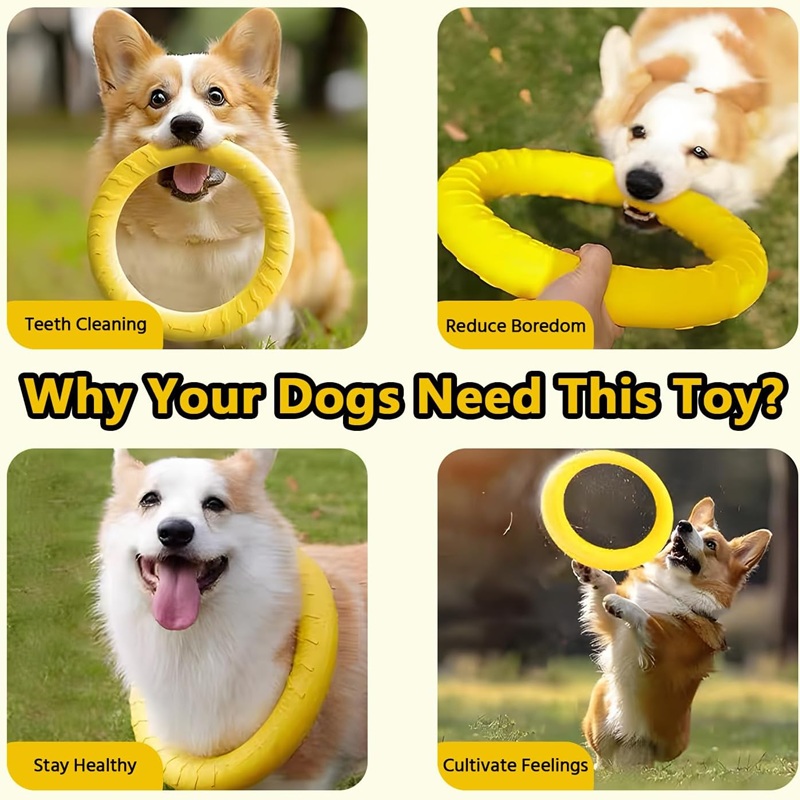 Игрушки для собак: летающие ди – обзор и цена Suction Cup Dog Tug Toy
