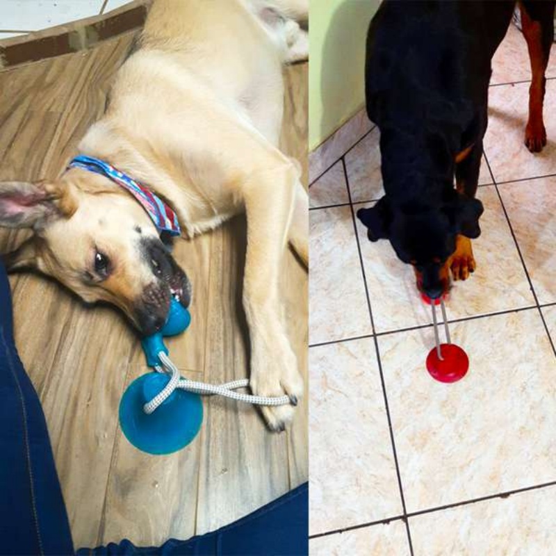 Прочная игрушка-присоска для с – обзор и цена Suction Cup Dog Tug Toy