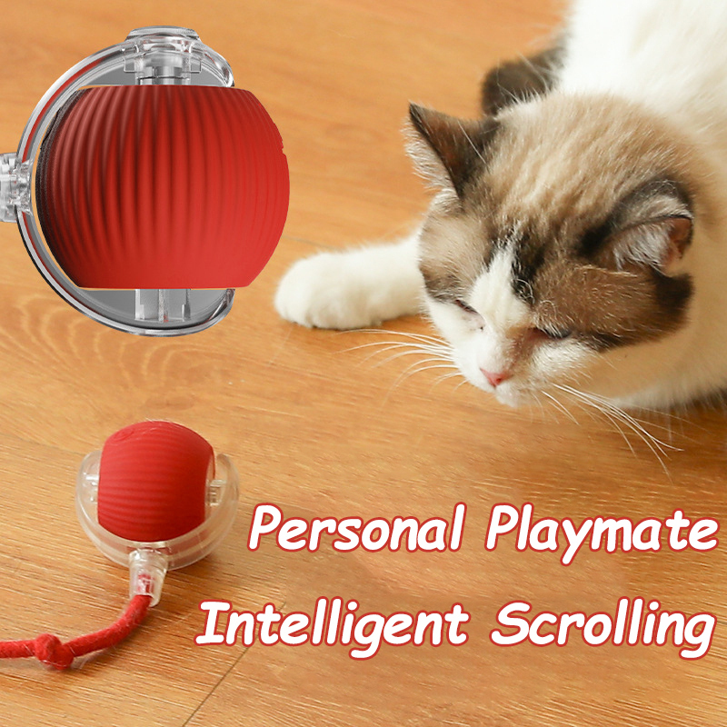Новая интерактивная игрушка-мя – обзор и цена Automatic Moving Dog Ball