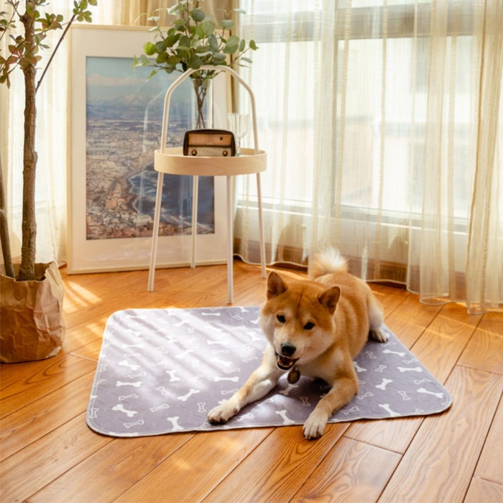 Прочный супервпитывающий коври – обзор и цена Pet Beds