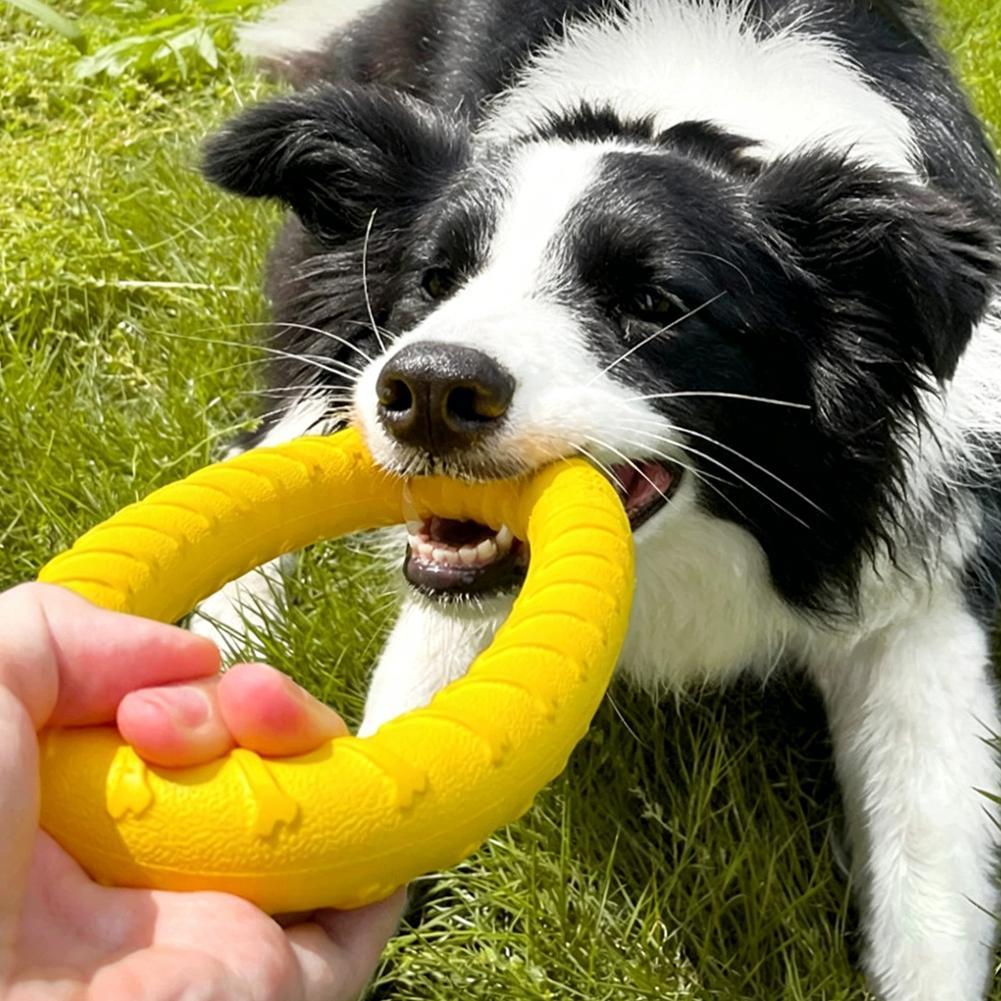 Игрушки-кольца для собак: проч – обзор и цена Indestructible Dog Chew Toy