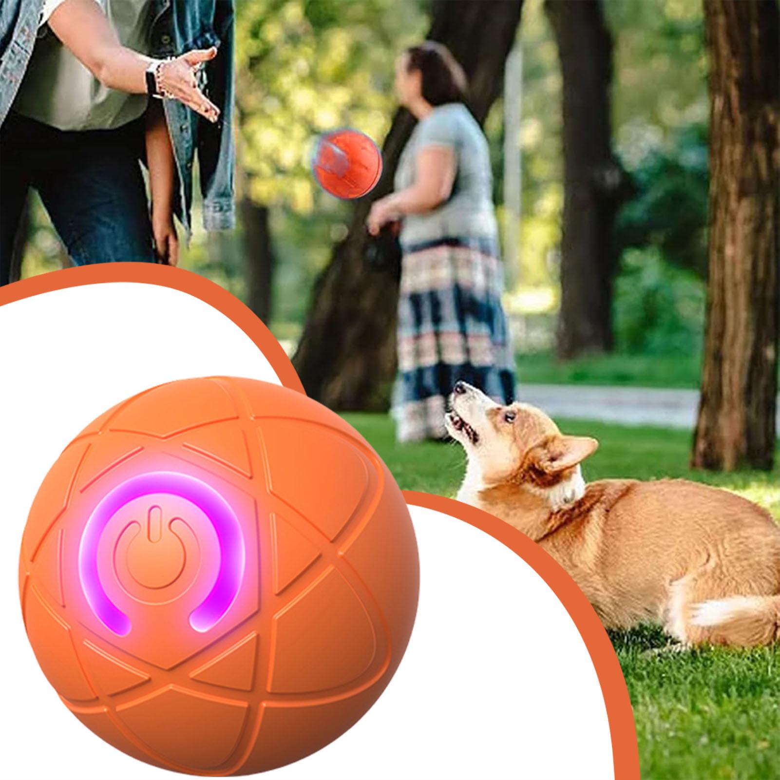 Игрушечный мяч для собак, инте – обзор и цена Automatic Moving Dog Ball