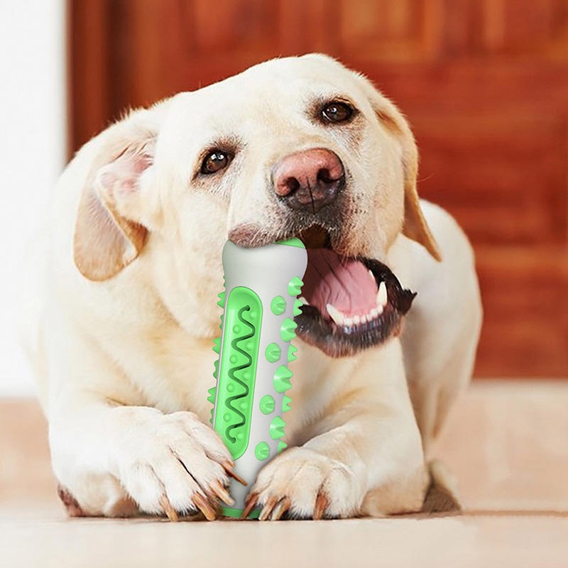 Жевательная игрушка для собак  – обзор и цена Teeth Cleaning Dog Chew Bone