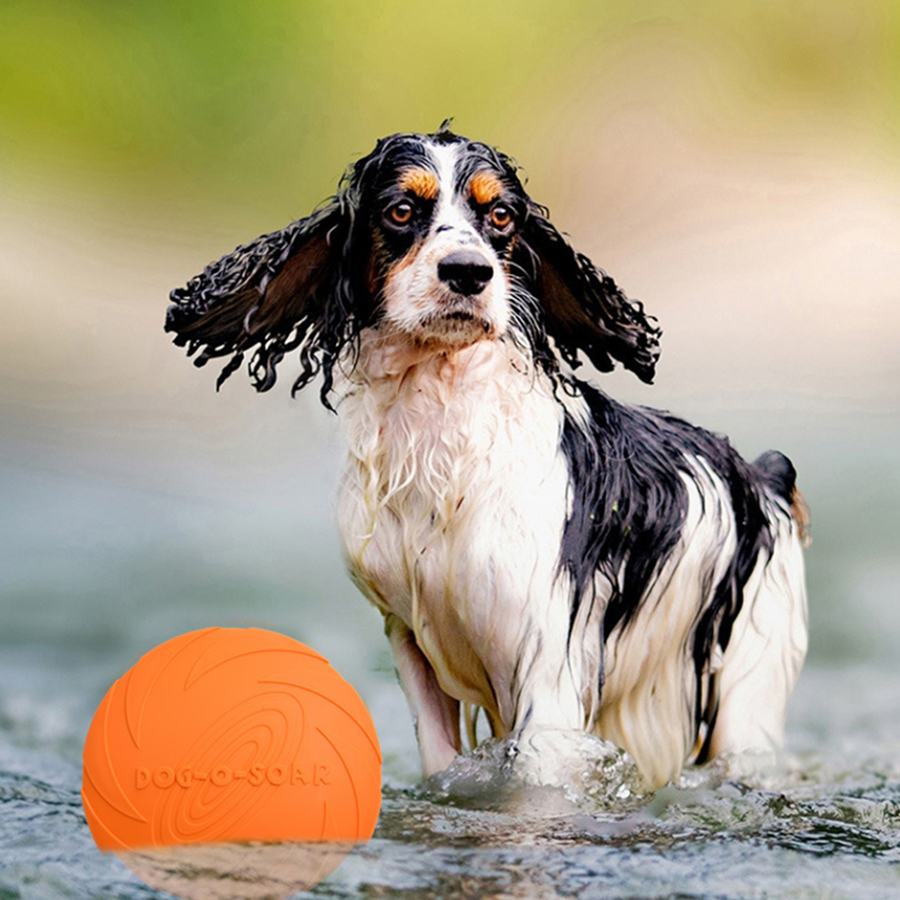 Большой летающий диск для соба – обзор и цена Flying Disc Dog Training Toy