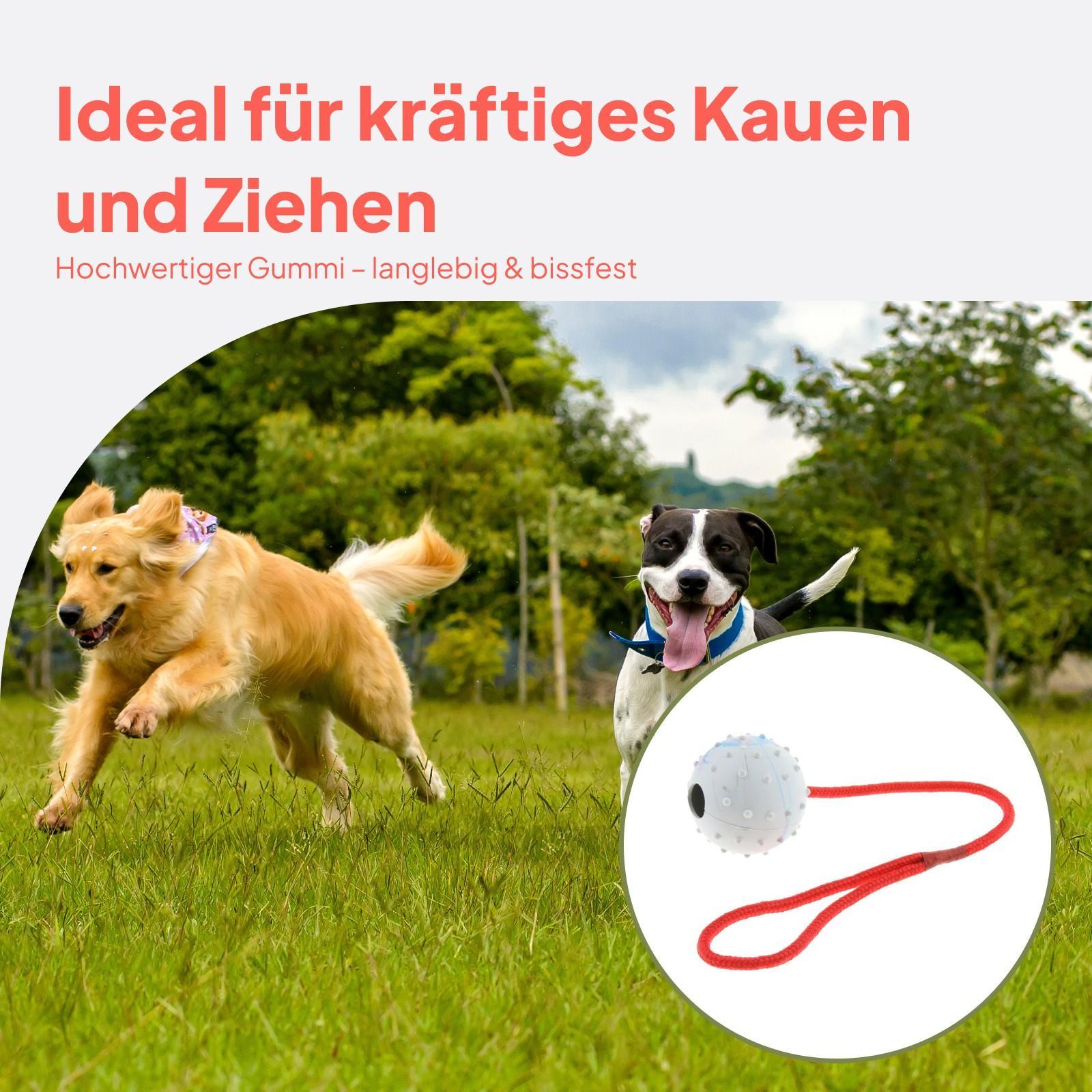 Игрушка для дрессировки животн – обзор и цена Rubber Treat Dispensing Dog Toy