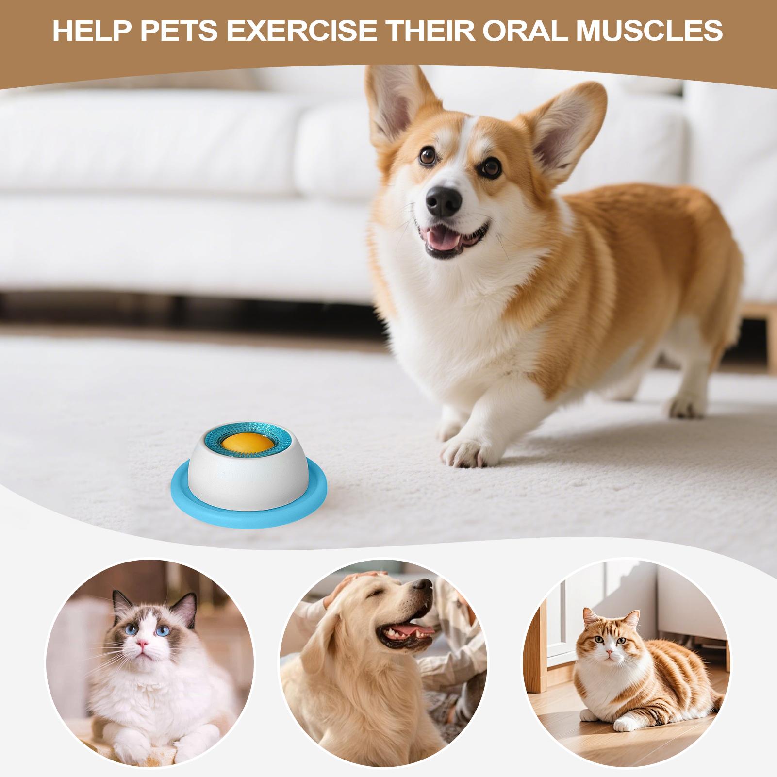 Аксессуары для кормления домаш – обзор и цена Dog Puzzle Feeder Toy